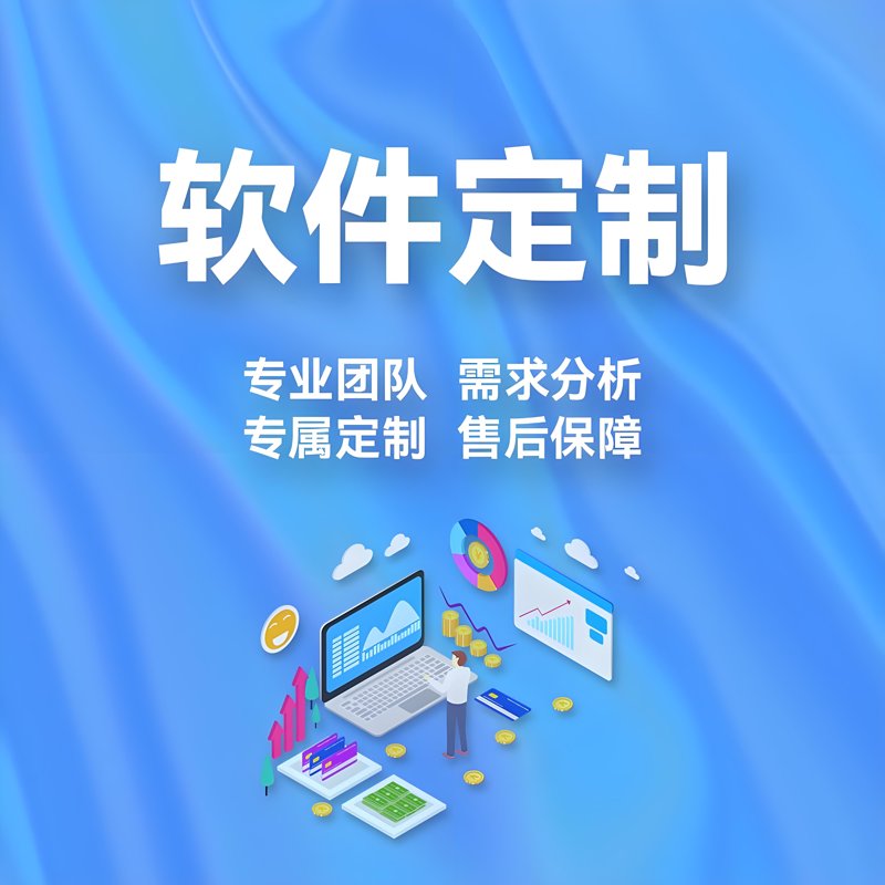 定制化管理软件：赋能企业管理创新