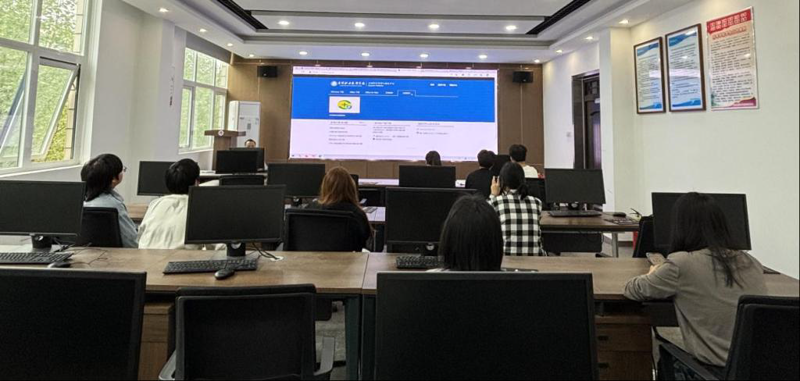 东莞软件开发行业的最新动态